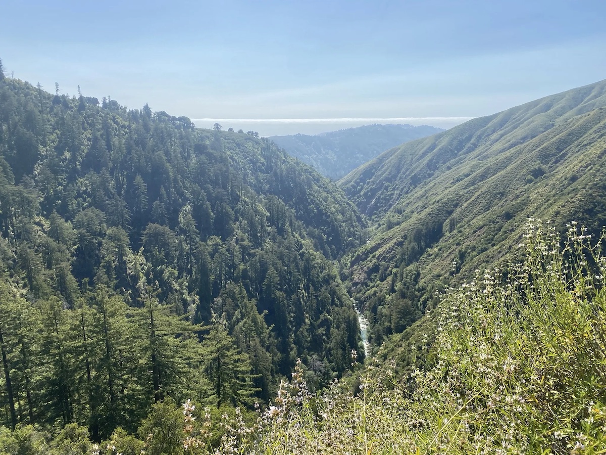 Pfeiffer Big Sure State Park In Summer